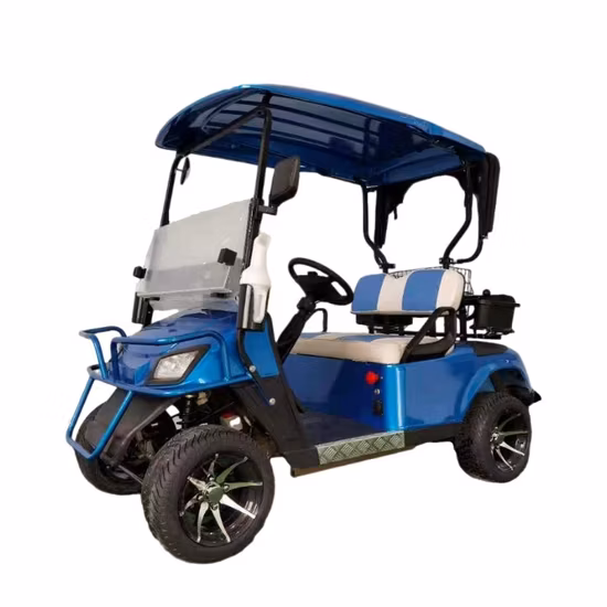 Carros eléctricos para 2 ruedas de Gas, luces estroboscópicas, accesorios para coche, volcado de gasolina, cable cargador de 36V, eje Tempest Ss, 5 paneles, 1 carrito de Golf
